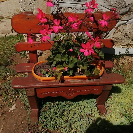 Tatil Evi Mala Kelja Lux