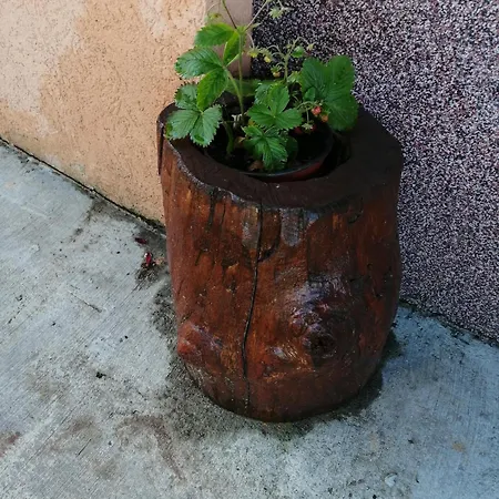 Mala Kelja Lux Tatil Evi