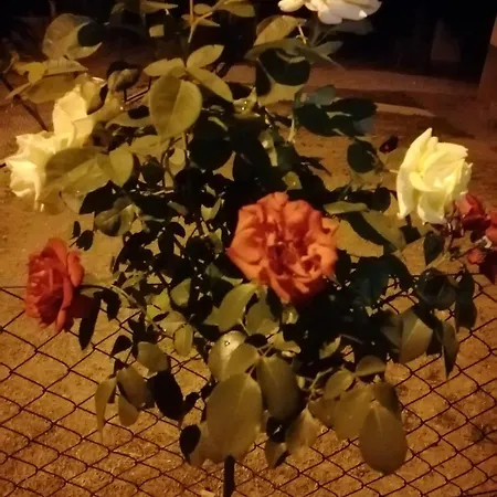 Mala Kelja Lux Tatil Evi