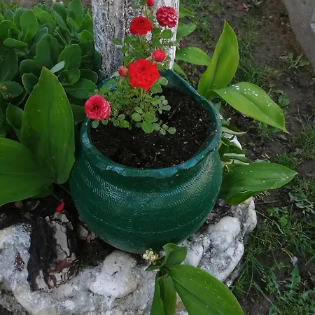 Tatil Evi Mala Kelja Lux Rudnik