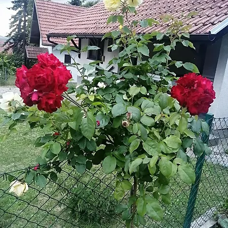 Tatil Evi Mala Kelja Lux