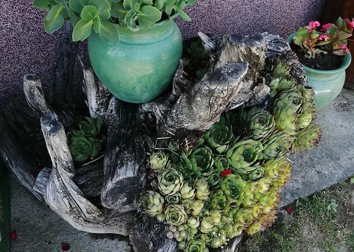 Mala Kelja Lux * رودنيك