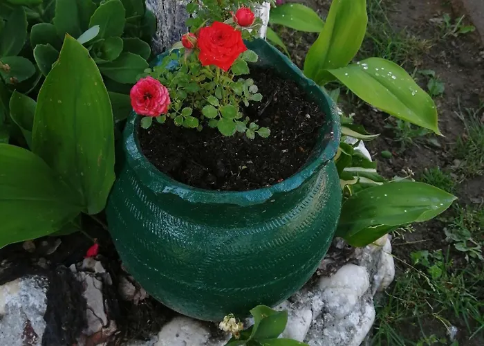 بيت للعطل Mala Kelja Lux رودنيك